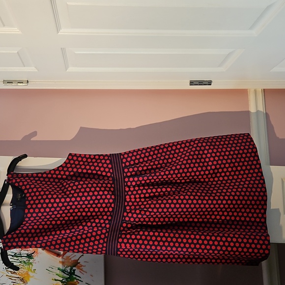 The Limited Large Red and Blue Polka Dot Dress - Picture 3 of 6